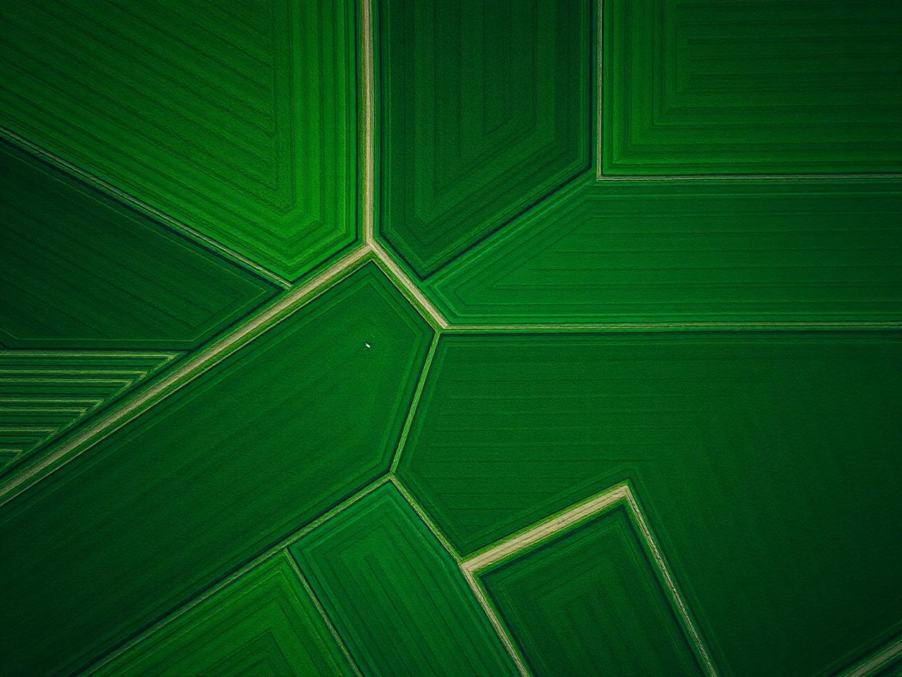 Precision farming pilot